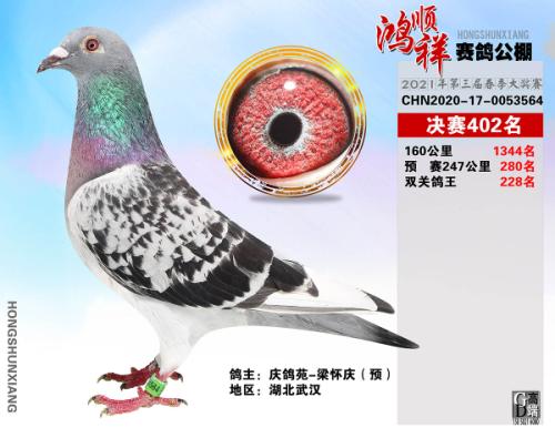 ��˳�鹫��402��