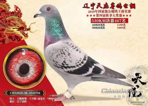 ������467��