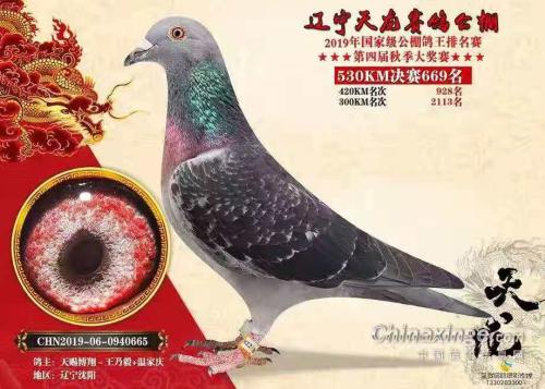 ������669��