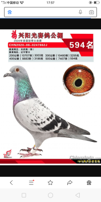 ��������594��