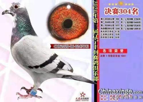 ����304��