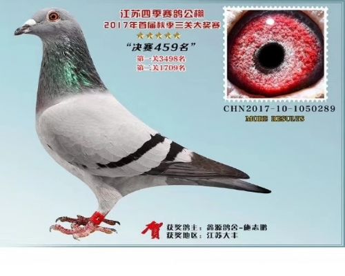 ����ս��039�����ã�ͬĸ�츸�����ã�