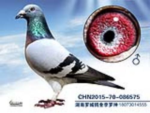 ����һ��