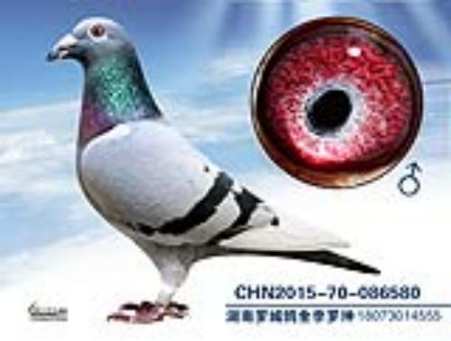 ����һ��