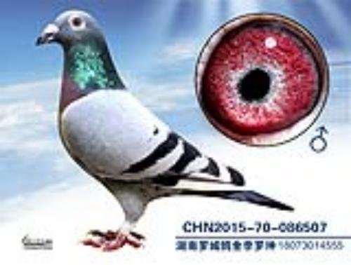 ����һ��