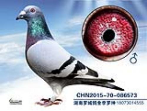 ����һ��