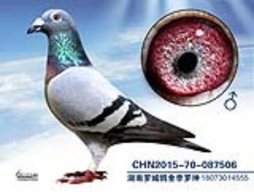 ����һ��