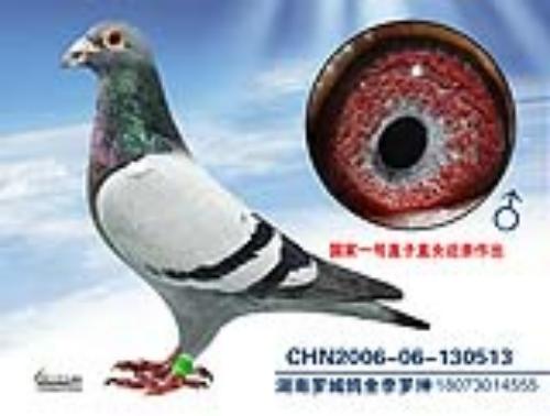 ����һ��