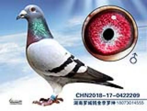 ����һ��