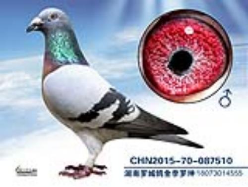 ����һ��