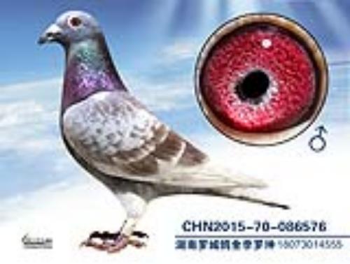 ����һ��