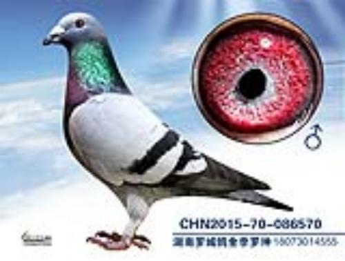 ����һ��