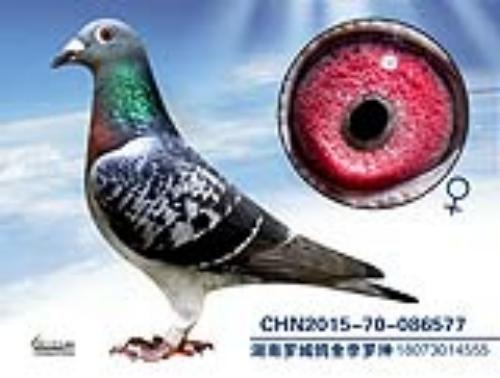 ����һ��