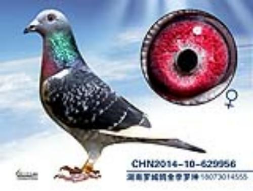 ����һ��