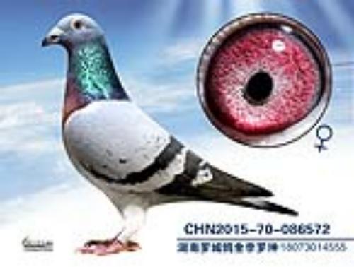 ����һ��