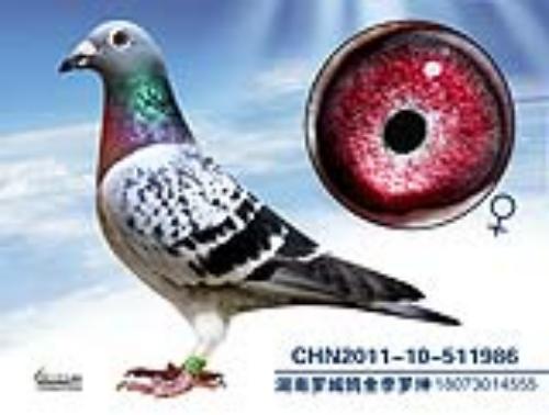 ����һ��