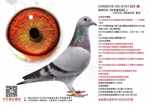 �����ָ�