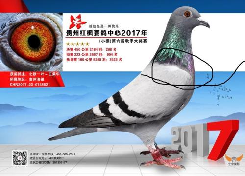 ���ݺ��ɼ���268��