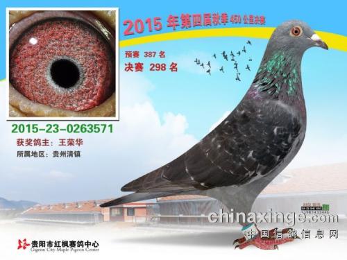 ���ݺ��ɼ���298��