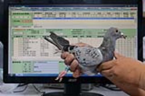 ���ݺ��ɼ�����Ե�޷�