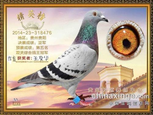 ǭԴ�������