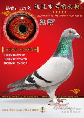 ����ɼ���