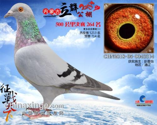 ����ɼ���