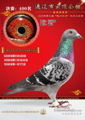 ����ɼ���