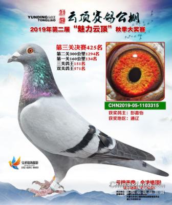 ����ɼ���