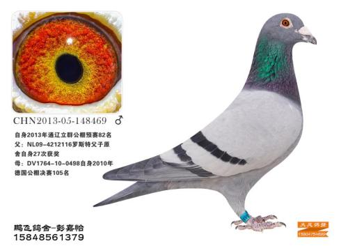 ����ɼ���