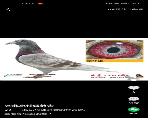 ���ܹ���