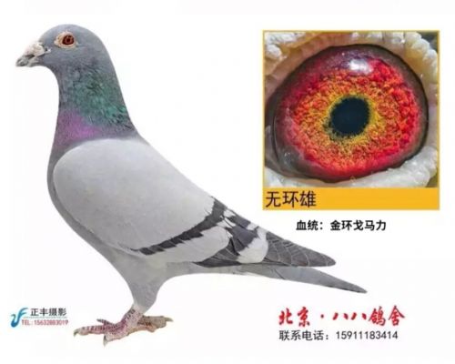 �𻷸�����