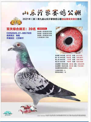 ���ɹ���