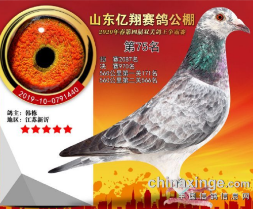 ��վ����