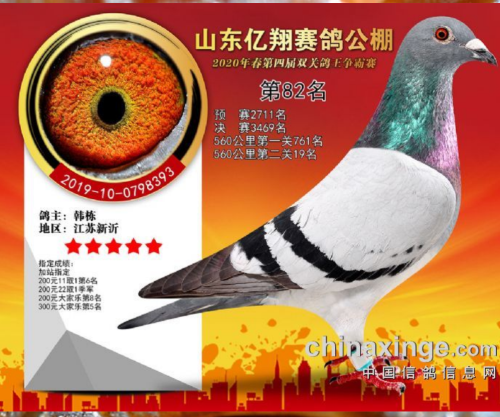 ��վ����