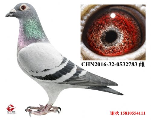 ��ȱ�ݡ����׵�