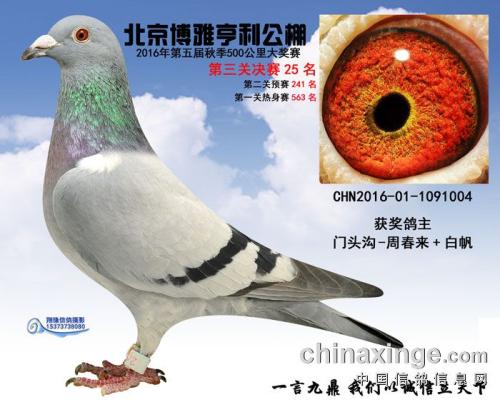 ����25��