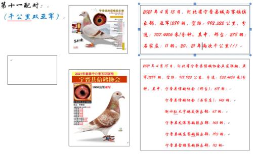 ǧ����˫�Ǿ���ʮһ���
