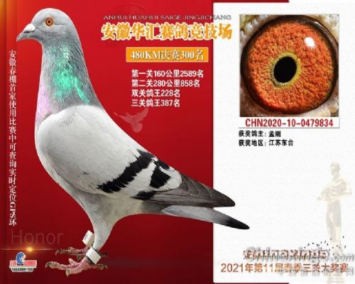 2021�껪�����300��