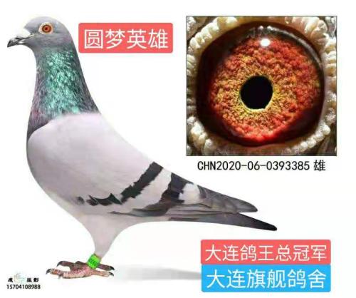 2020��������Ÿ�Э������ܹ�