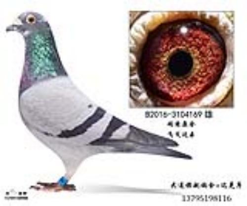 ����ԭ��ɸ������