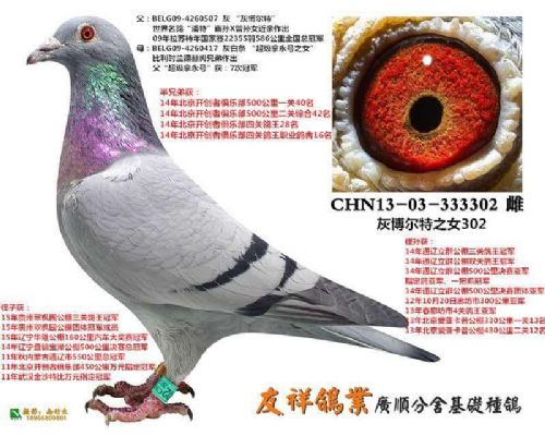 ��ɫ������ֱŮ