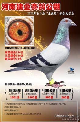 2020���ｨҵ�������265��