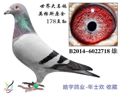 ����˹ԭ��178���