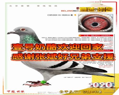 ��˹�� ����