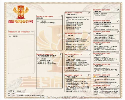 ��˹�� ����