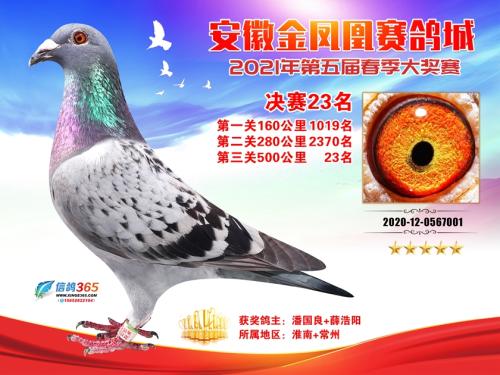 ���˴������23��