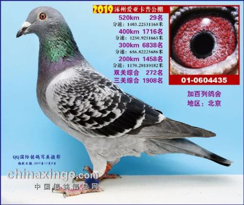 �����ĸ����ֱŮ