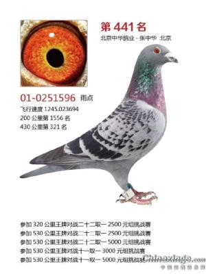 ������ֱ��