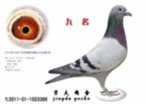 ����ɣ��ʿ